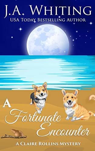 A Fortunate Encounter book cover