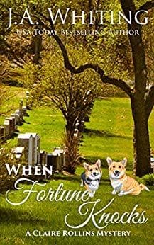 When Fortune Knocks book cover