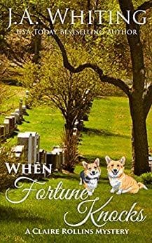 When Fortune Knocks book cover