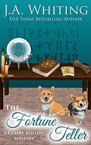 The Fortune Teller book cover