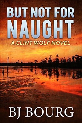 But Not For Naught book cover