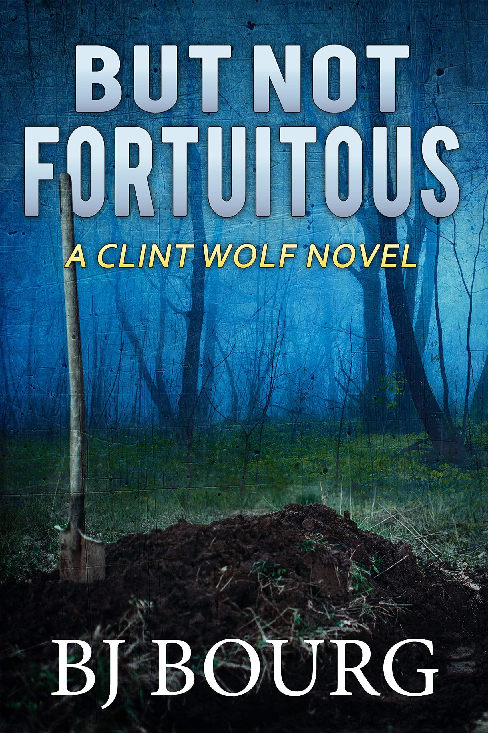 But Not Fortuitous book cover