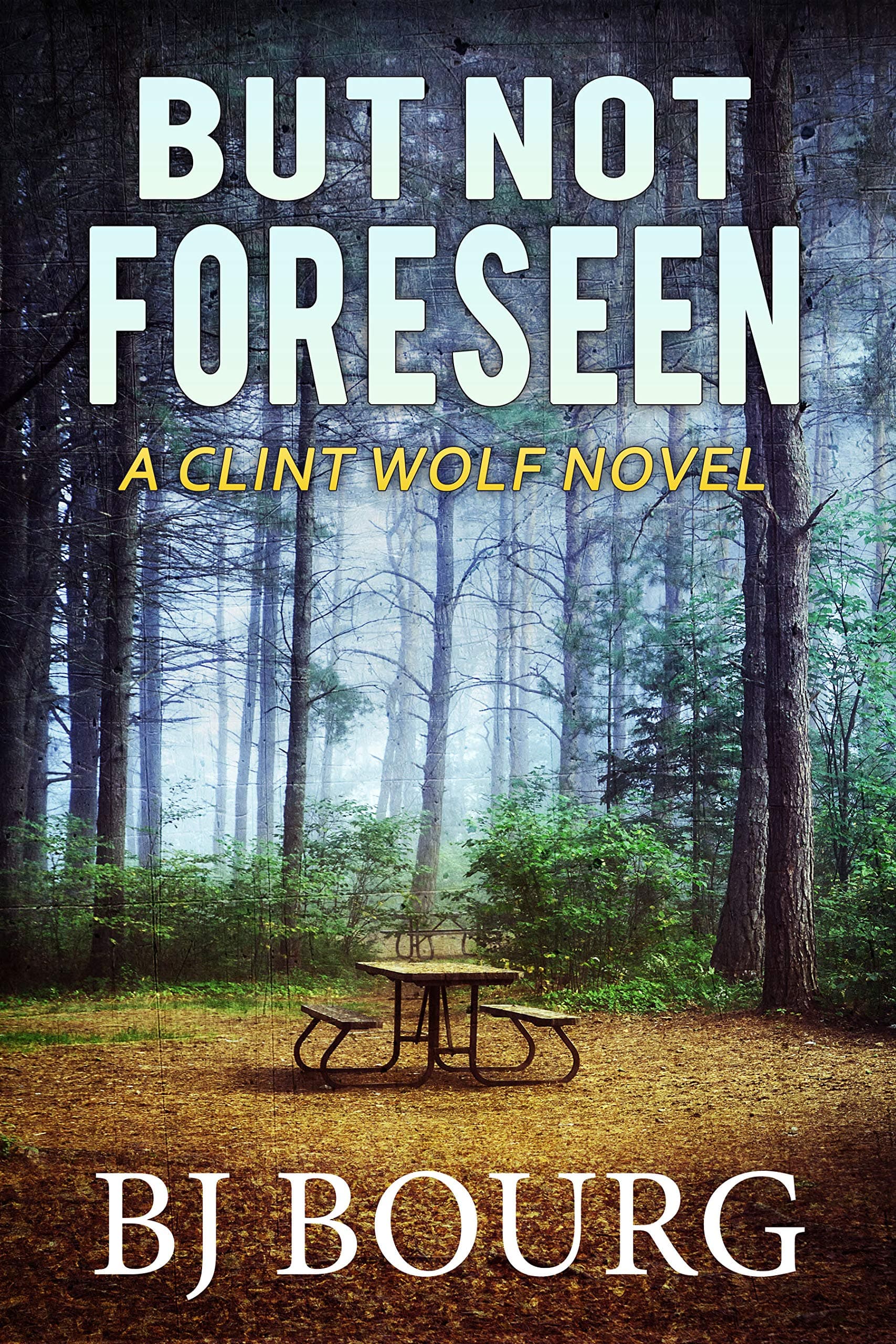 But Not Foreseen book cover