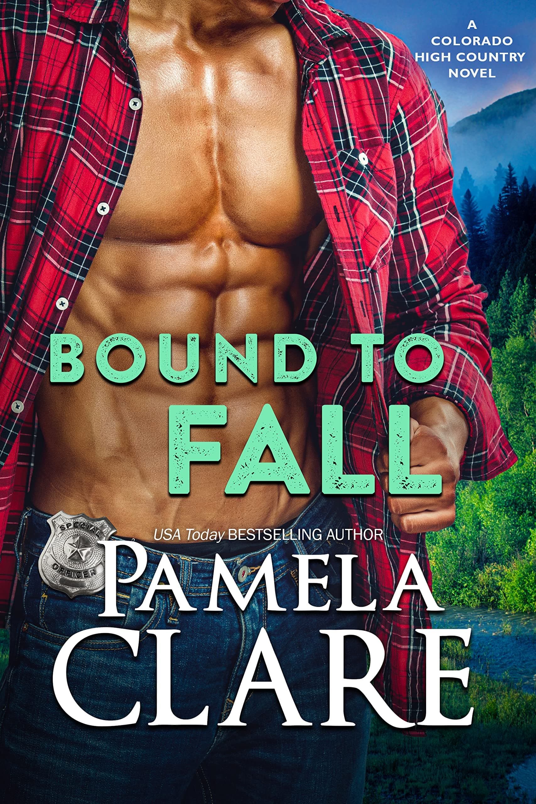 Bound to Fall book cover