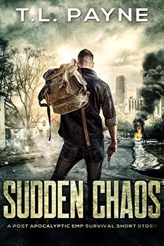 Sudden Chaos book cover