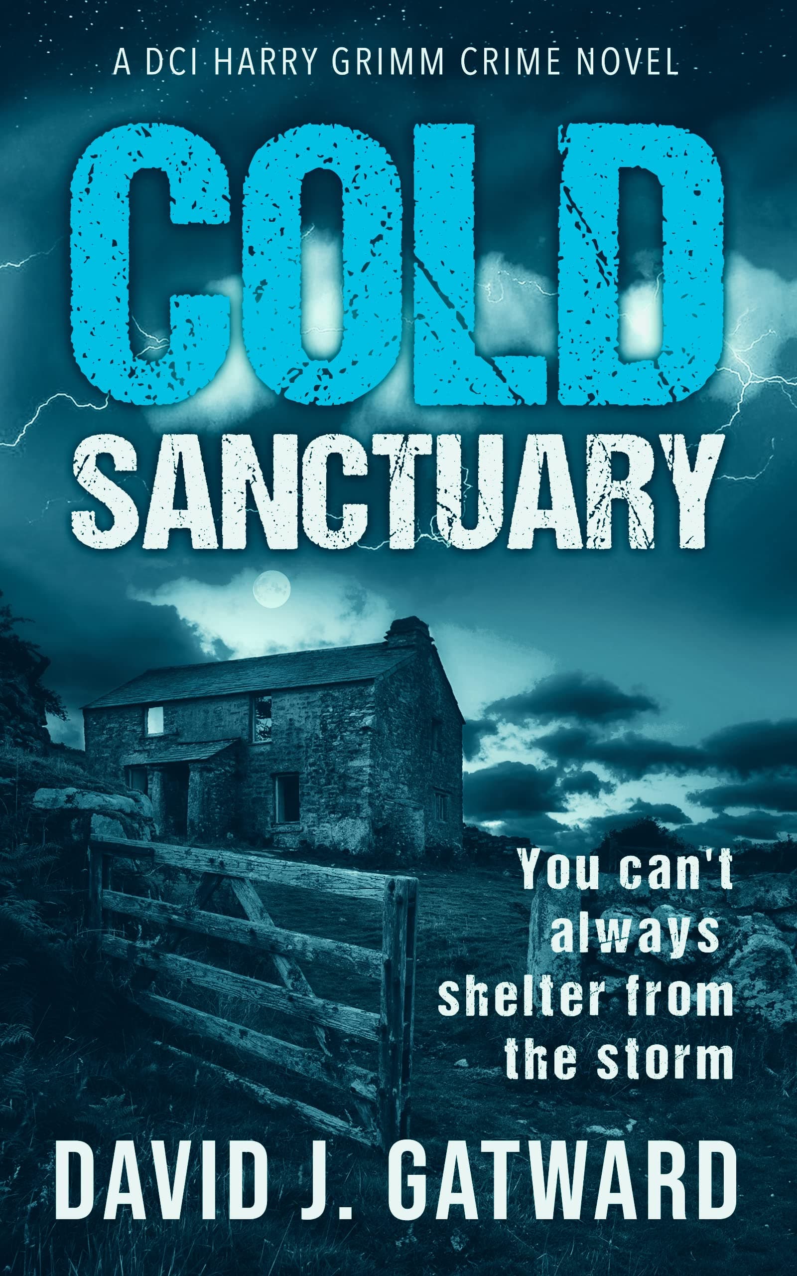 Cold Sanctuary book cover