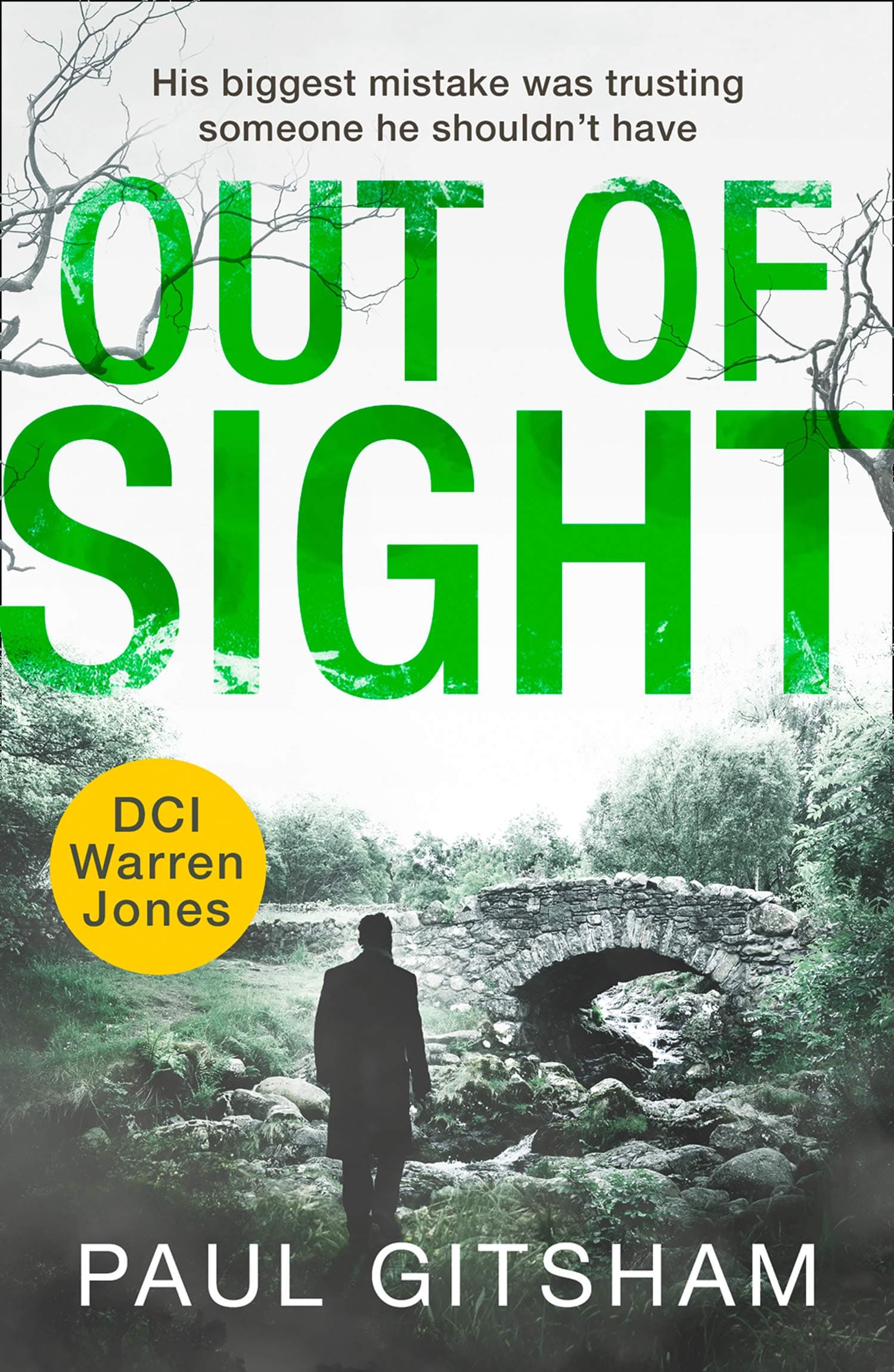 Out of Sight book cover