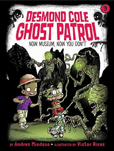 Now Museum, Now You Don't book cover