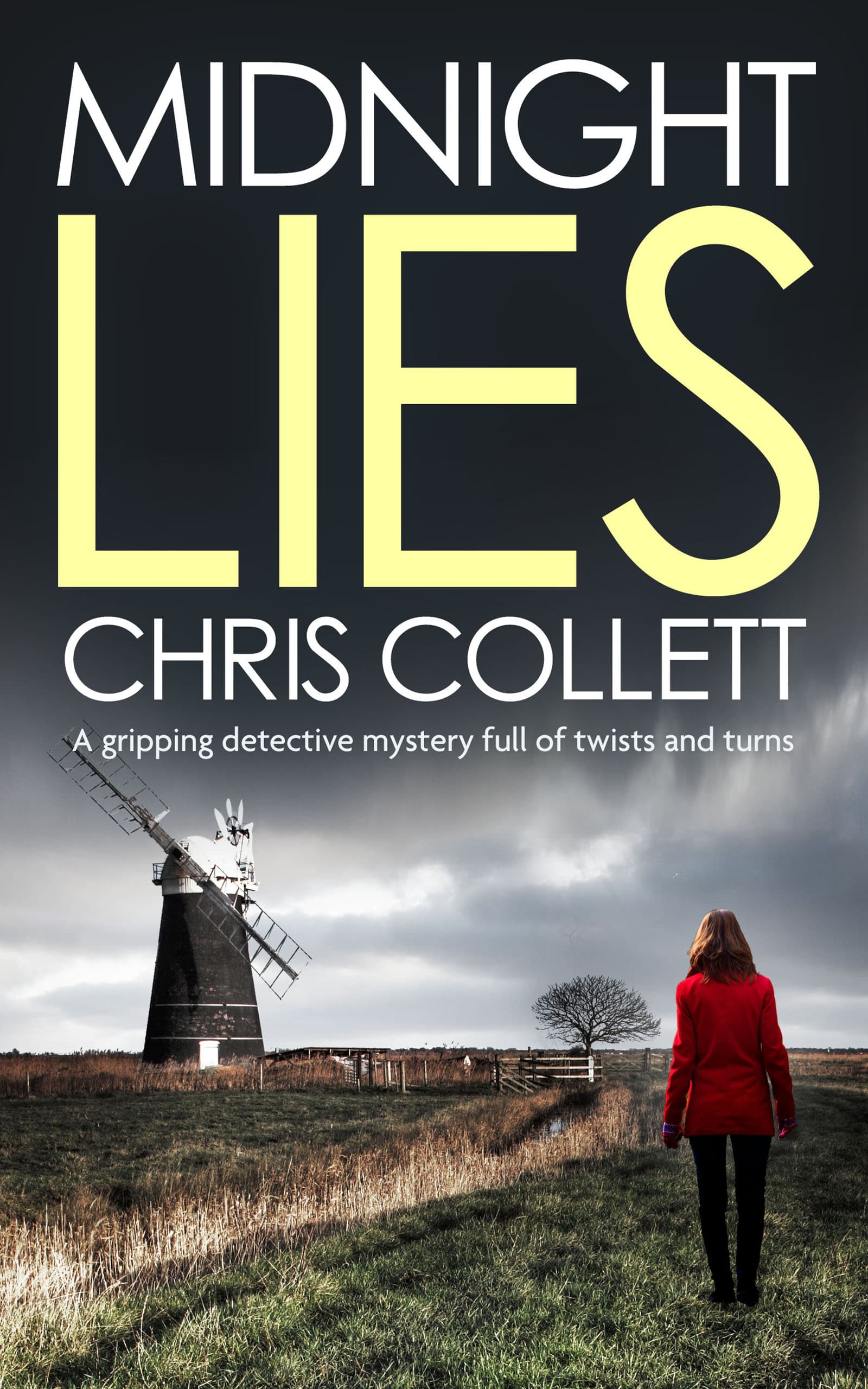 Midnight Lies book cover