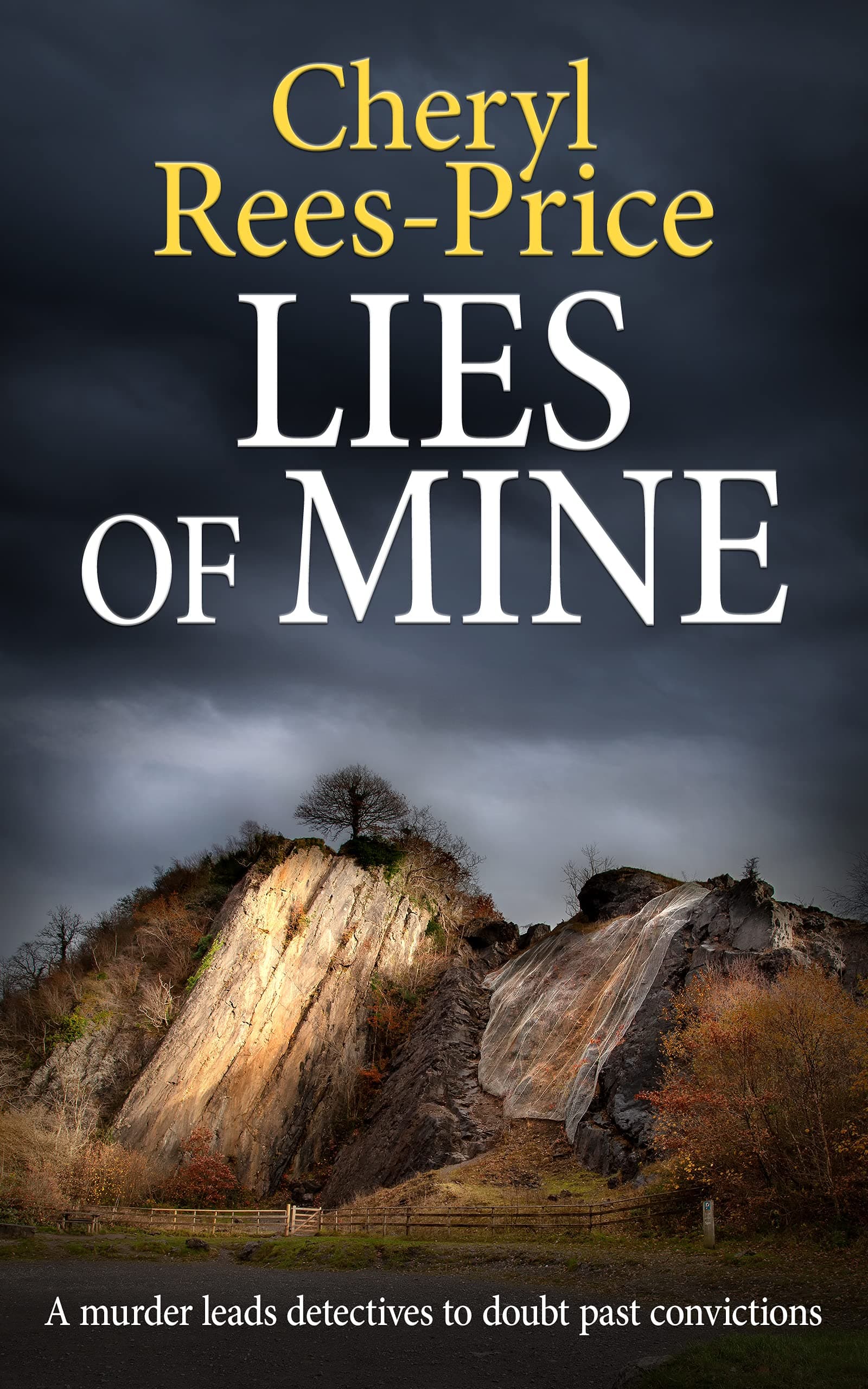 Lies of Mine book cover