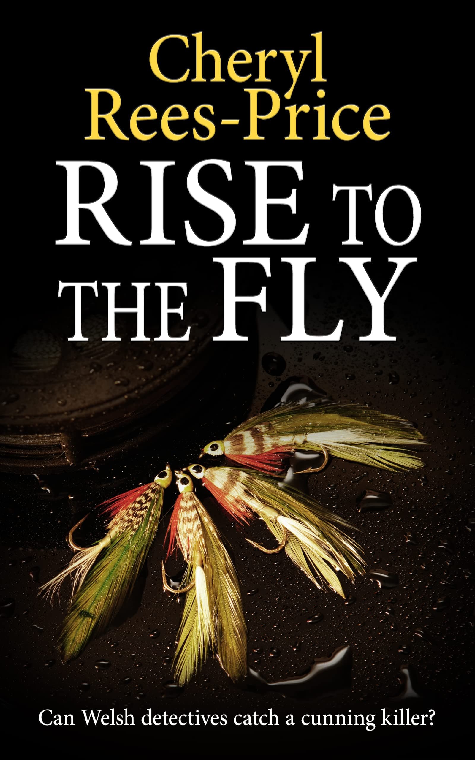 Rise to the Fly book cover