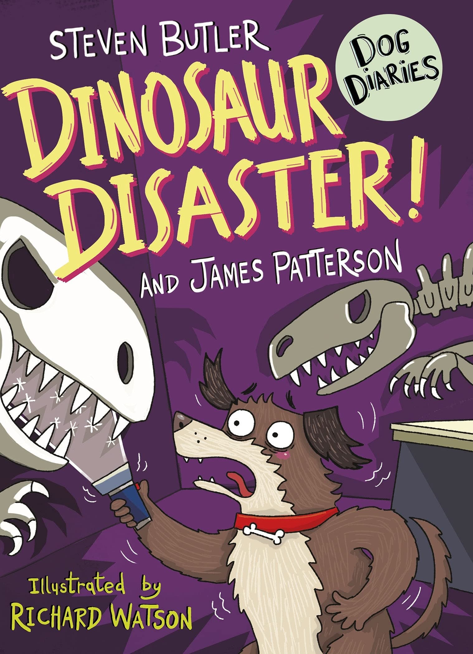 Dinosaur Disaster! book cover