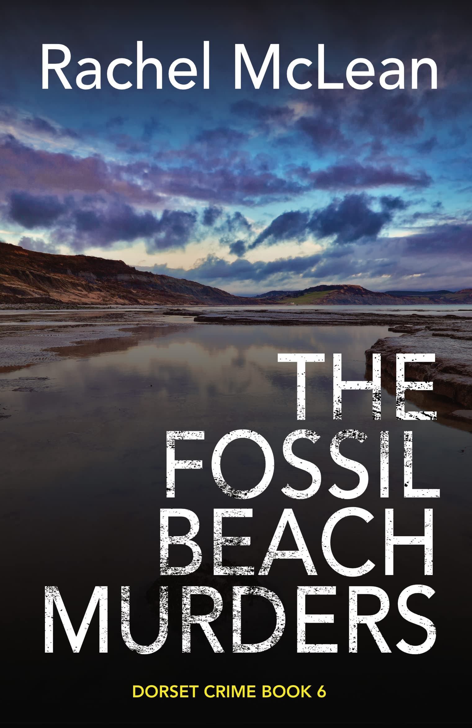 The Fossil Beach Murders book cover