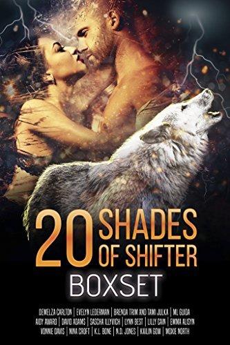 20 Shades of Shifter book cover