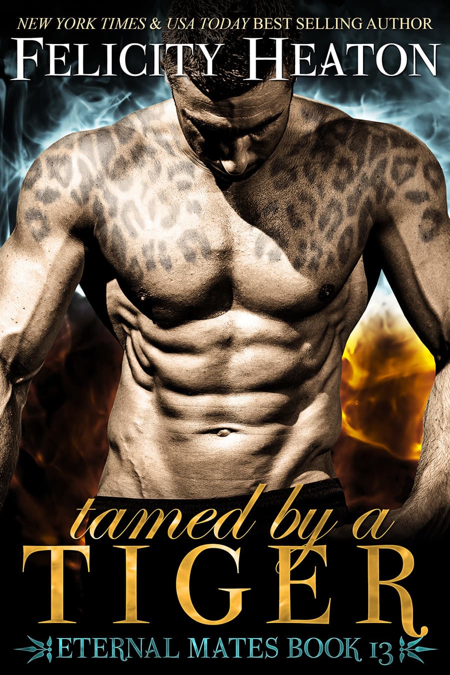 Tamed by a Tiger book cover