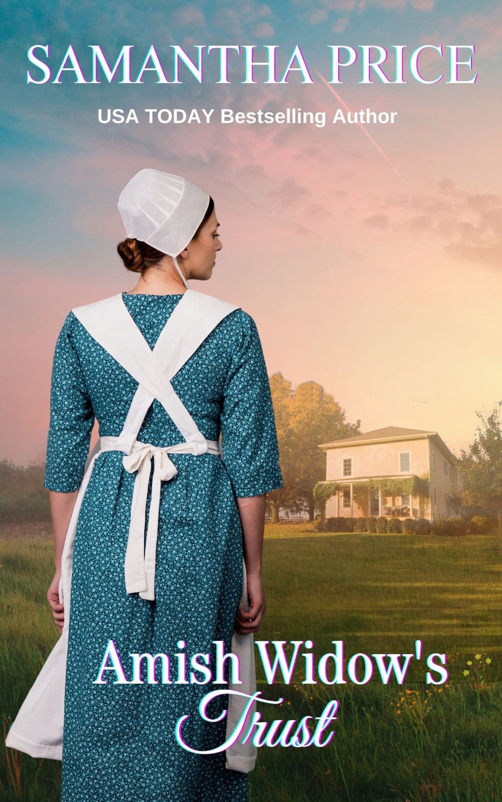 Amish Widow's Trust book cover