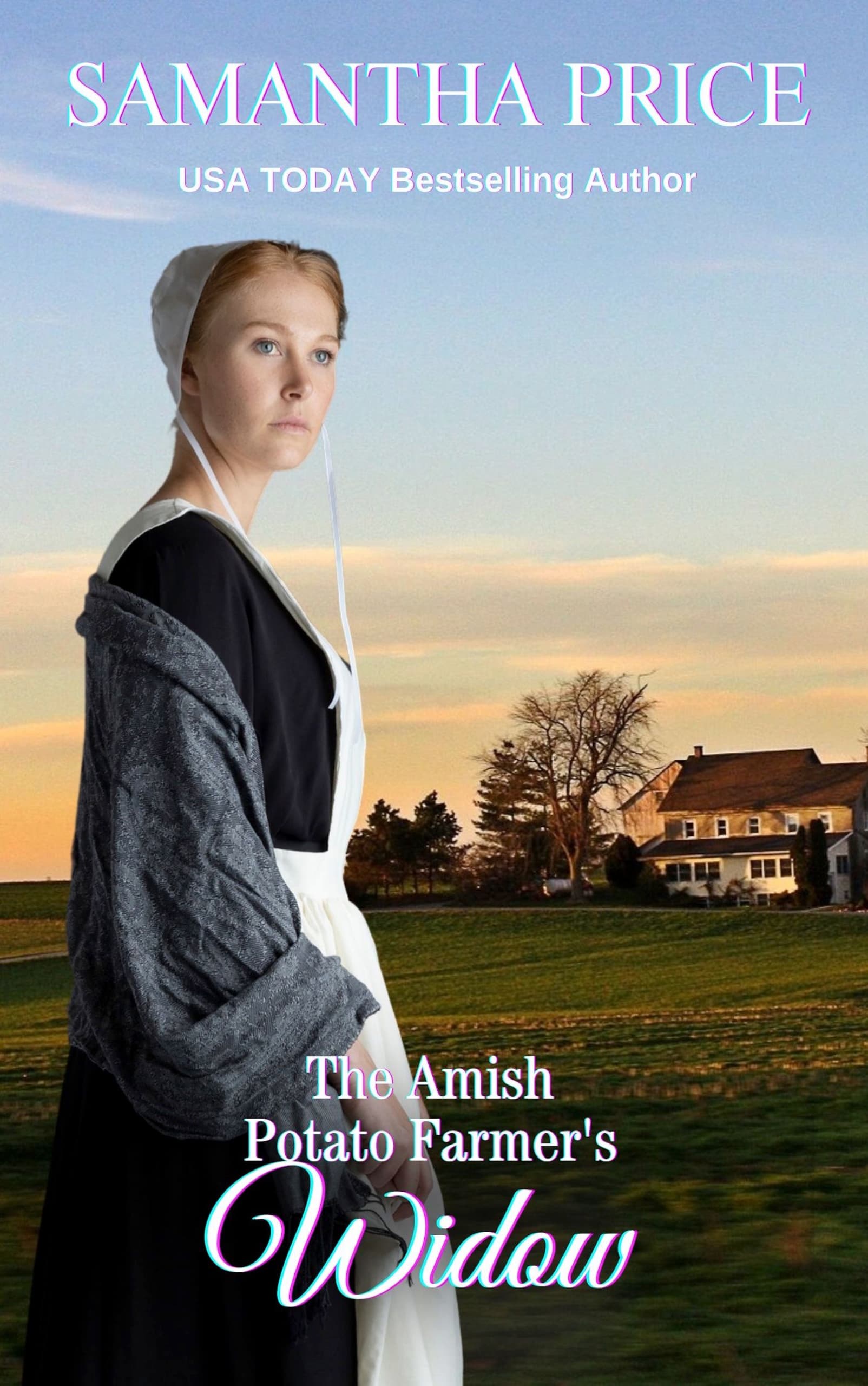 The Amish Potato Farmer's Widow book cover