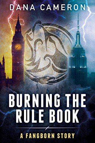 Burning the Rule Book book cover