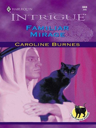 FAMILIAR MIRAGE book cover