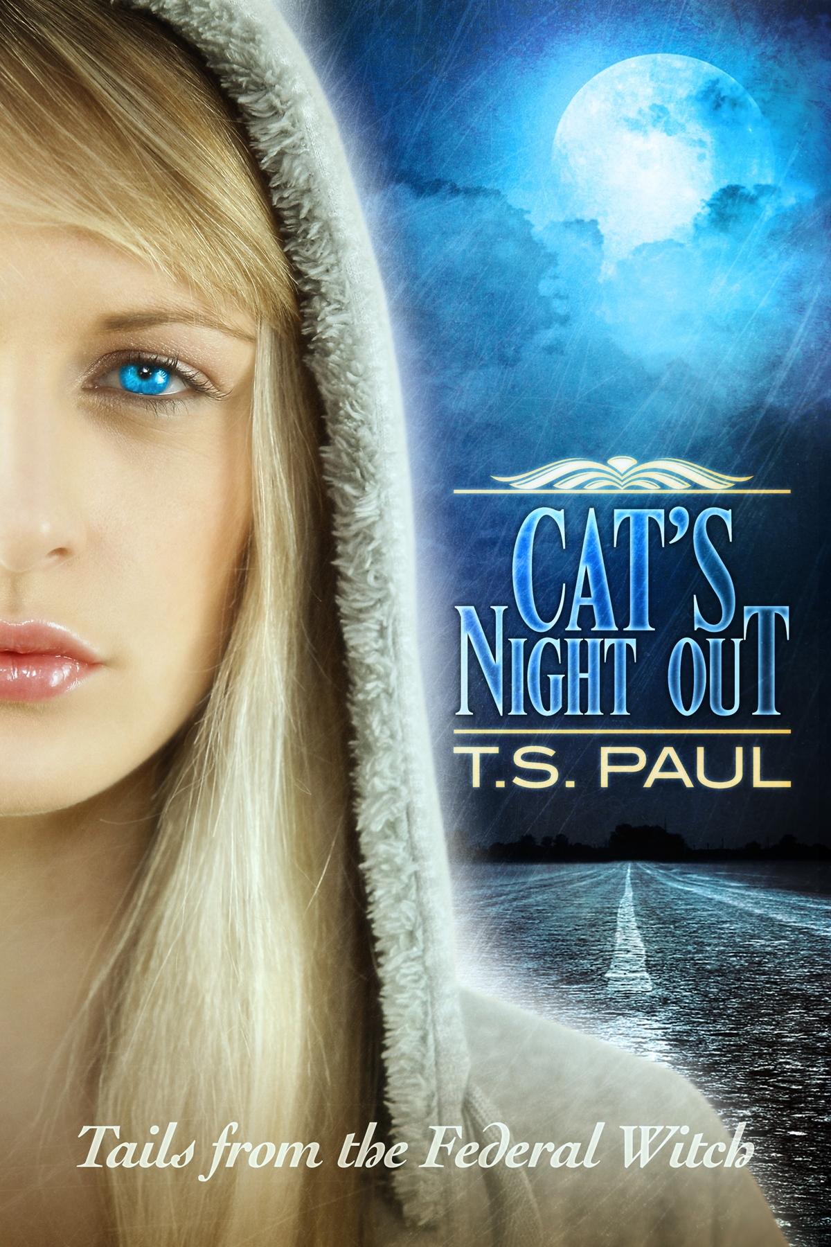 Cat's Night Out book cover