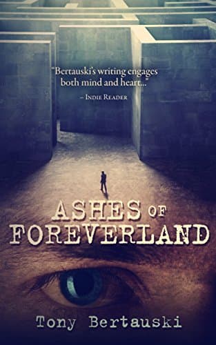 Ashes of Foreverland book cover