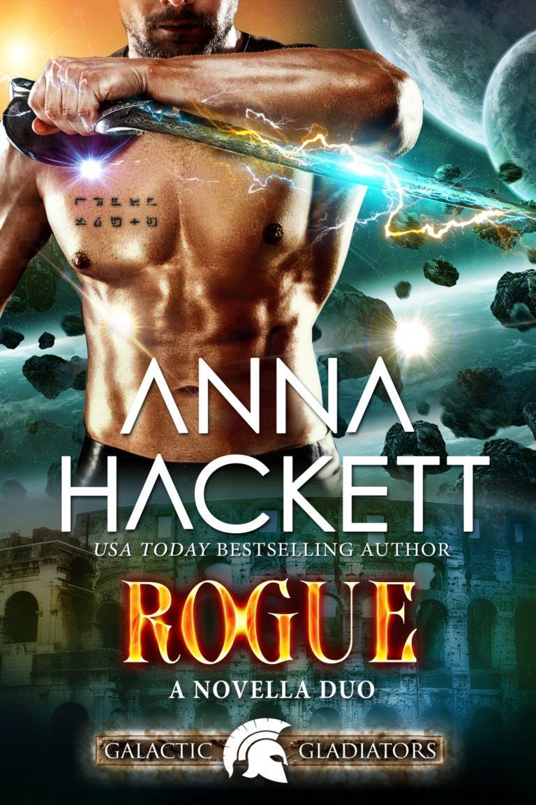 Rogue: Information Rogue / Desert Rogue book cover