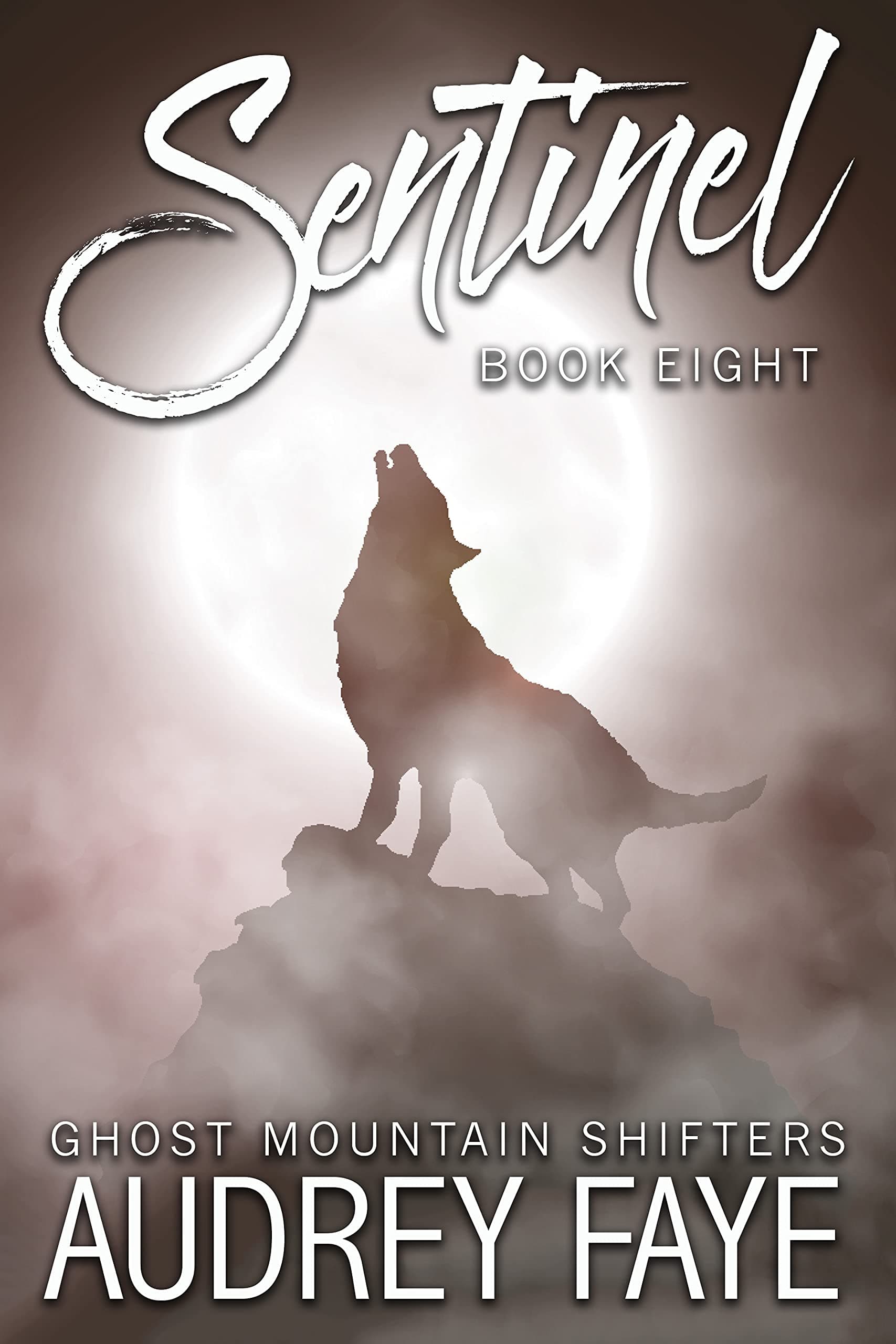 Sentinel book cover