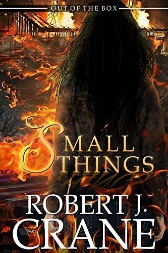 Small Things book cover