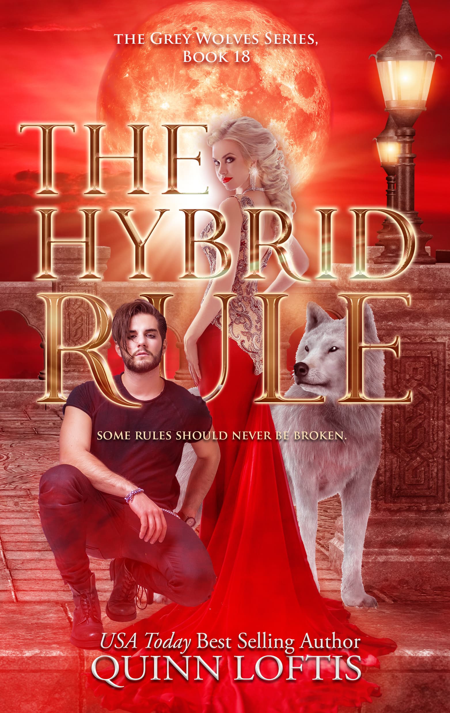 The Hybrid Rule book cover