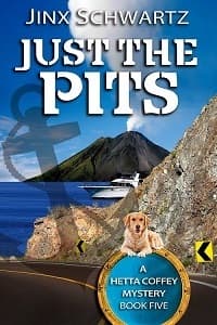 Just The Pits book cover