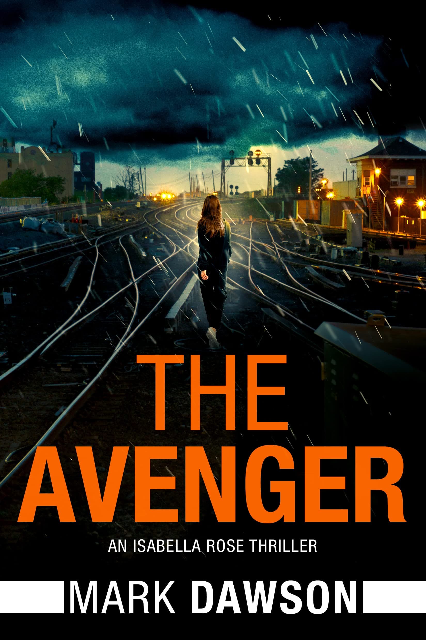 The Avenger book cover