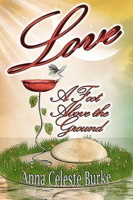 Love, A Foot Above the Ground book cover