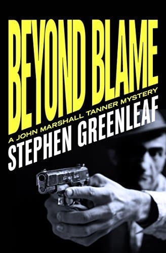 Beyond Blame book cover