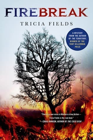 Firebreak book cover