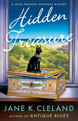 Hidden Treasure book cover