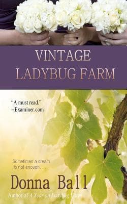 Vintage Ladybug Farm book cover