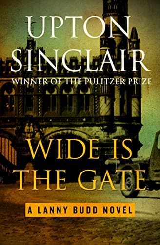 Wide Is the Gate book cover