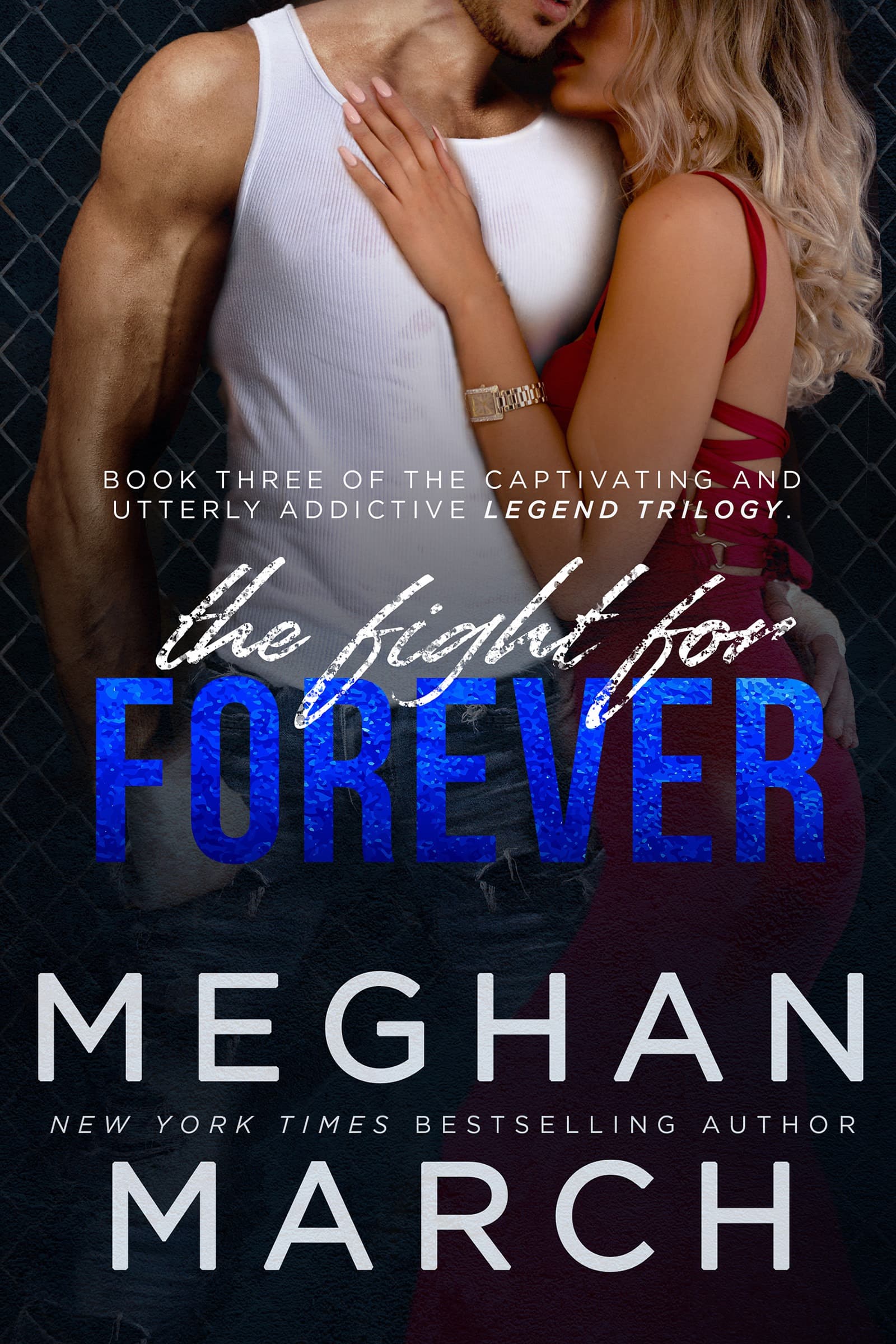 The Fight for Forever book cover
