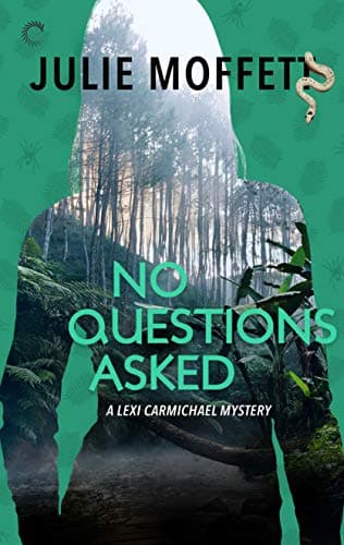 No Questions Asked book cover