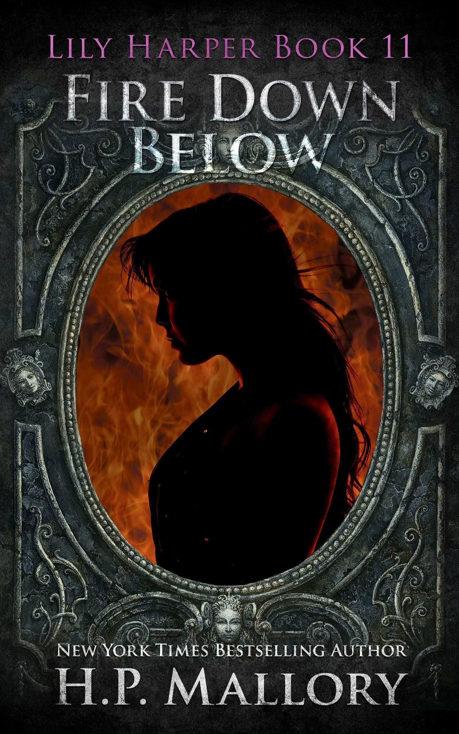 Fire Down Below book cover