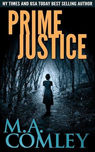 Prime Justice book cover