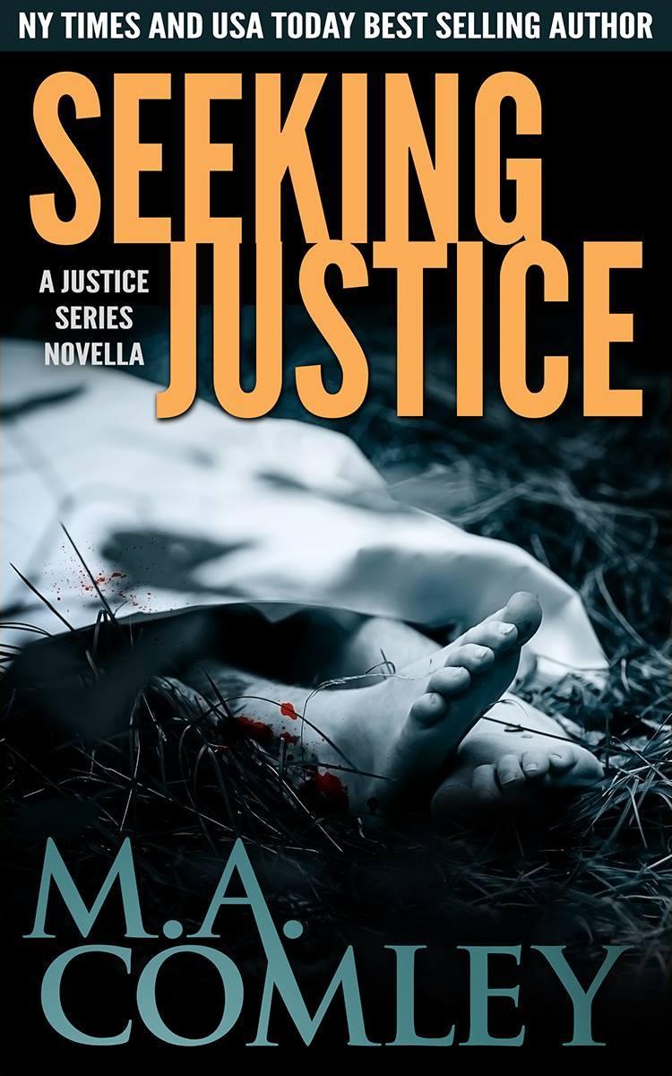 Seeking Justice book cover