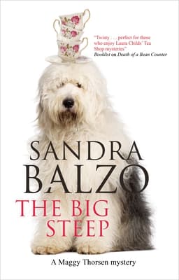 Big Steep, The book cover