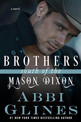 Brothers South of the Mason Dixon book cover