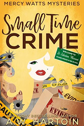 Small Time Crime book cover