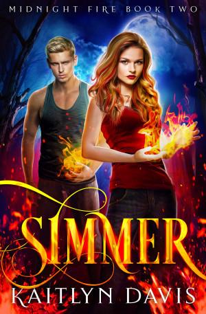 Simmer book cover