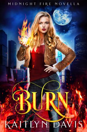 Burn book cover