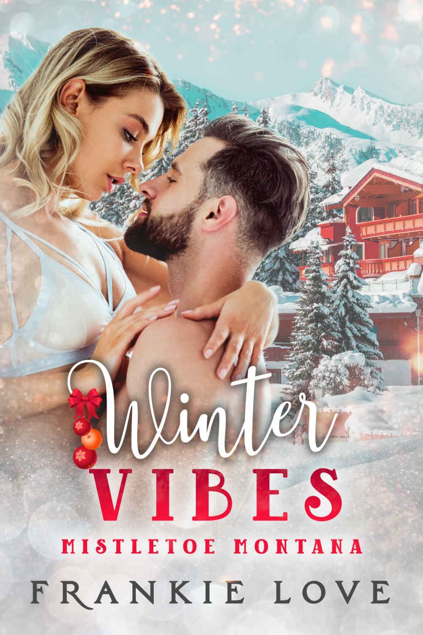 Winter Vibes book cover