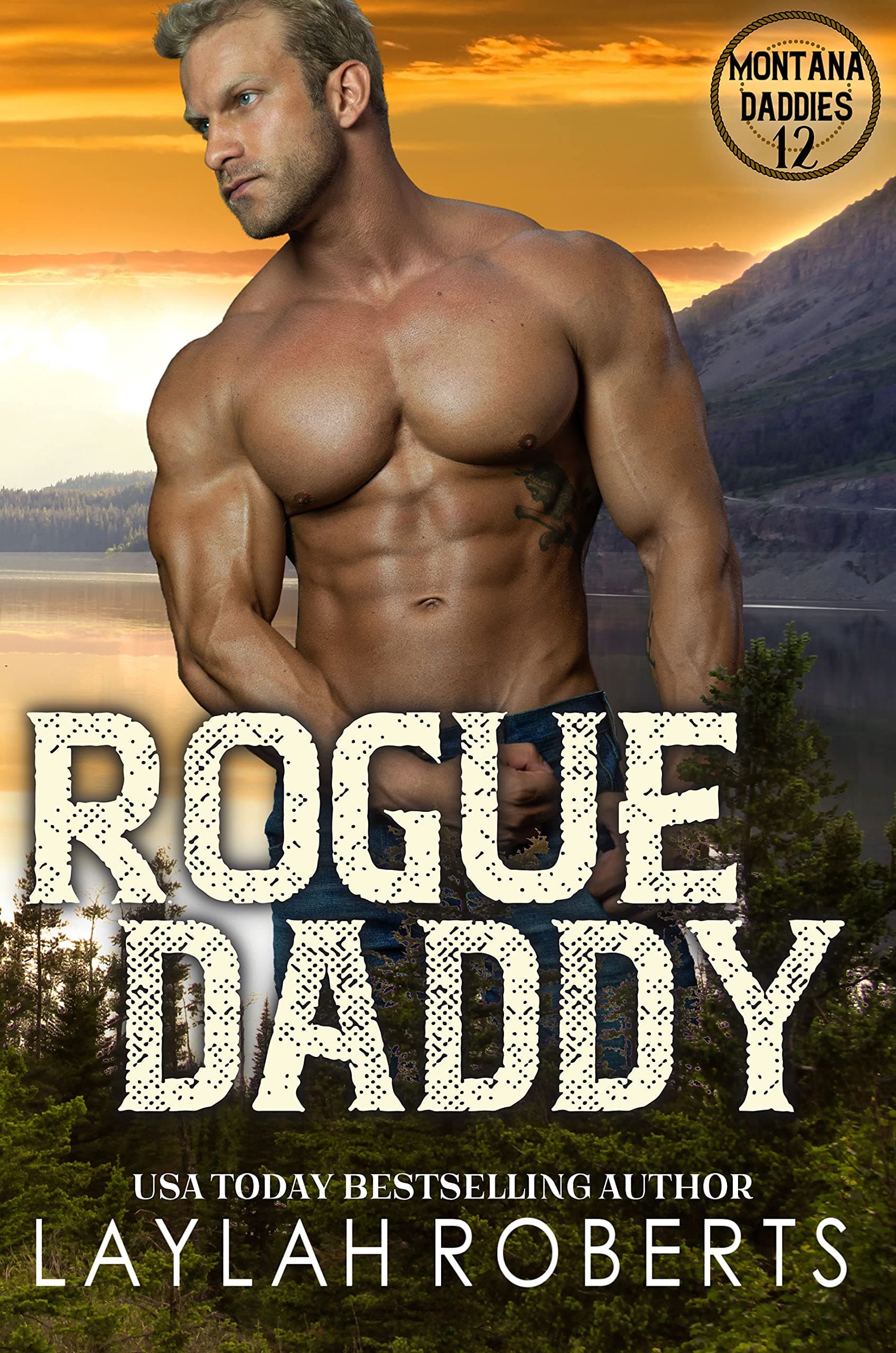 Rogue Daddy book cover