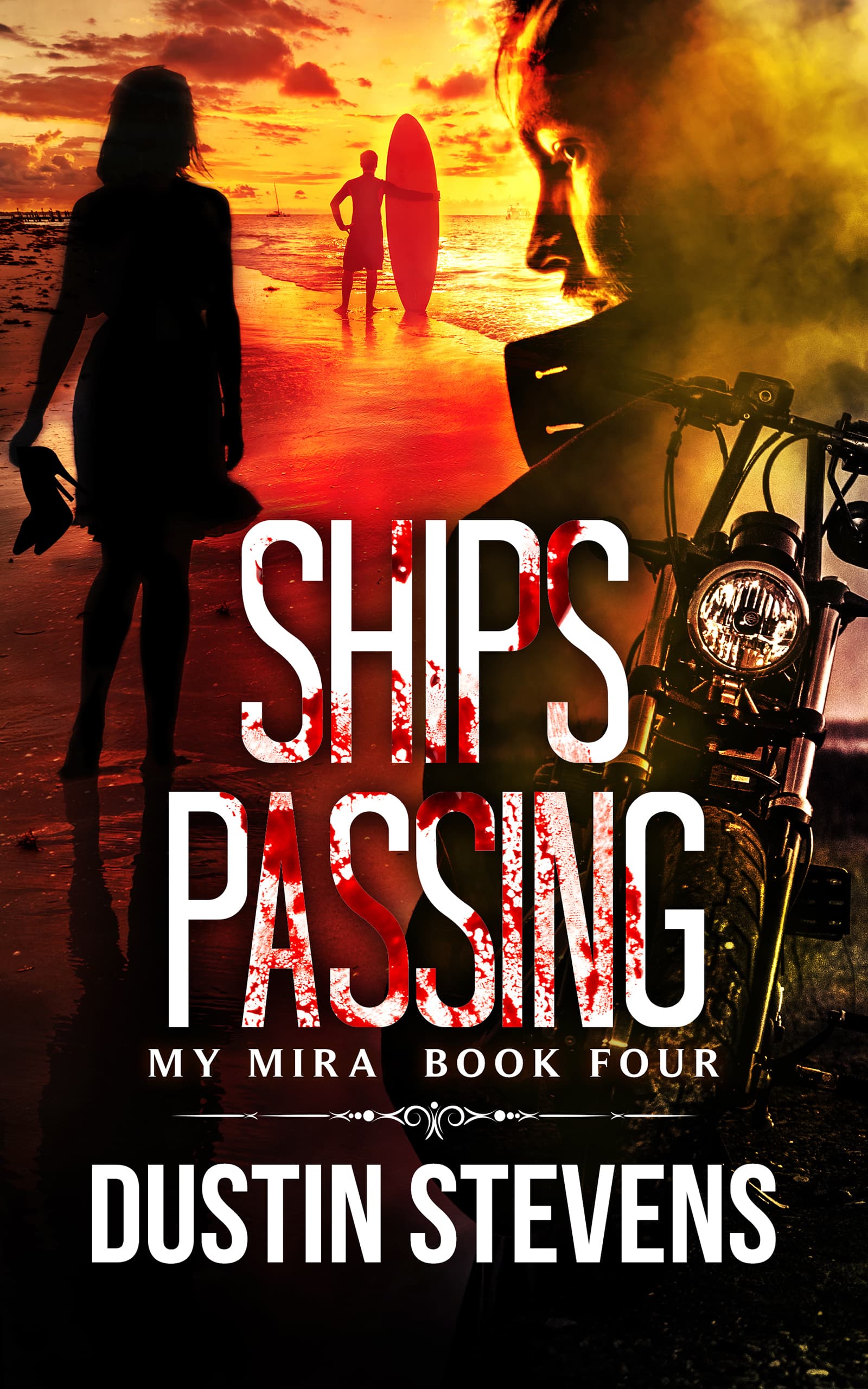 Ships Passing book cover